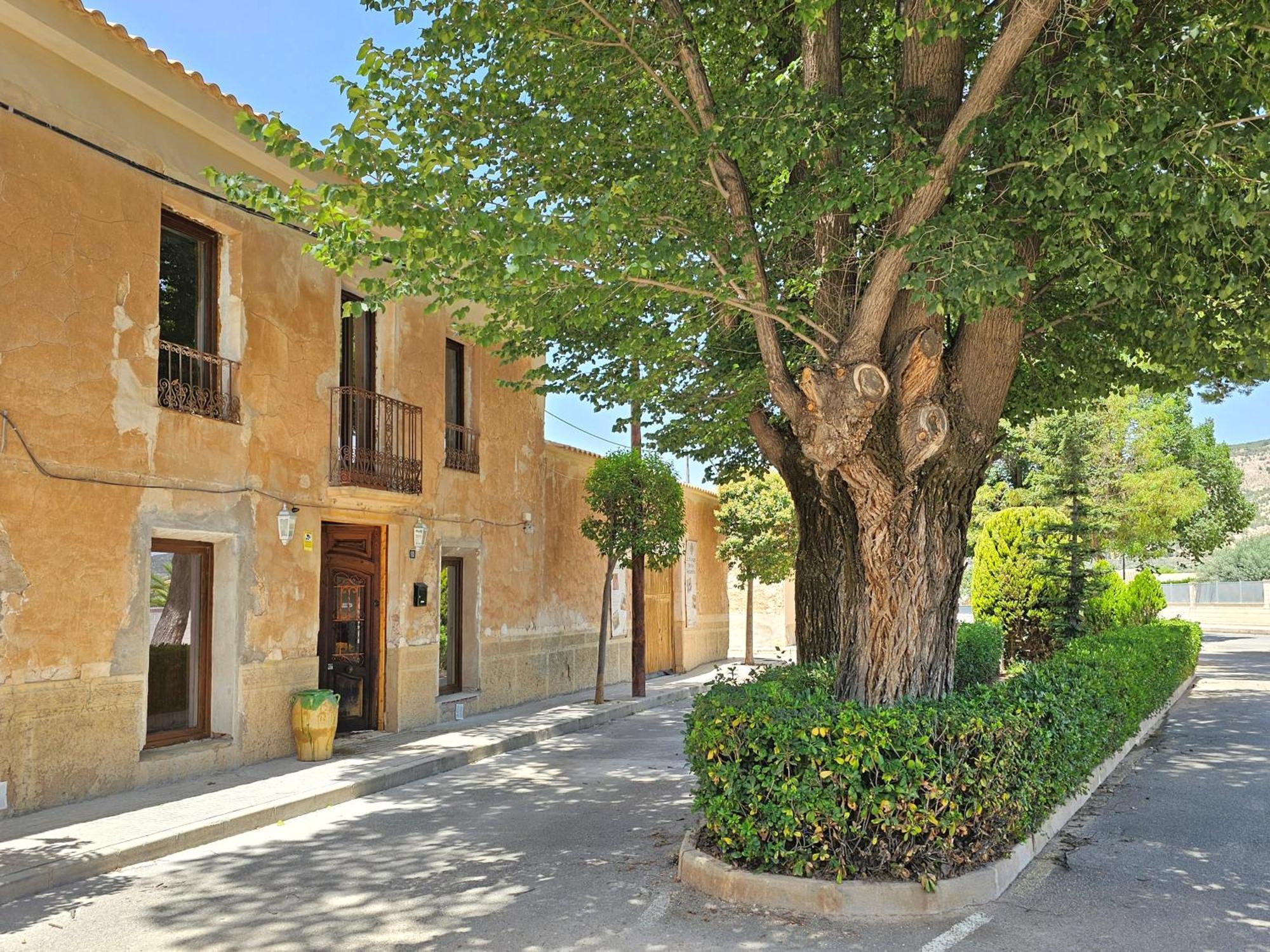Casa Rodriguillo Panzió Pinoso Kültér fotó